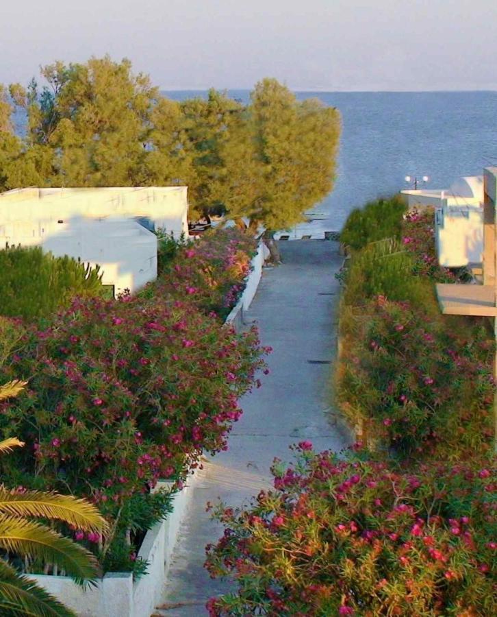Located By The Sea One Beachfront Private Captain Lazaros Pool Villa With Loft In 750Sqm Spacious Private Plot-Jacuzzi-Sunrelax-Furnished Terace-Gazebo-Private Parking,Sleep 3 Adults And 2 Children, Just Steps From The Black Beach-Seaview Perissa  Esterno foto